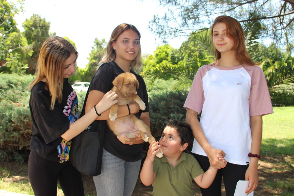 Nilüfer’de can dostlar yeni sahiplerini bekliyor