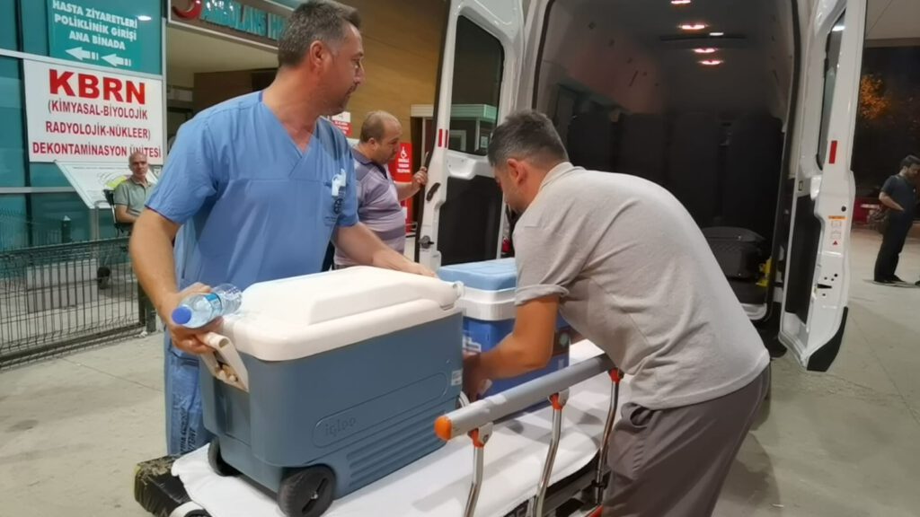 Ayça’nın organları 3 kişiye umut oldu