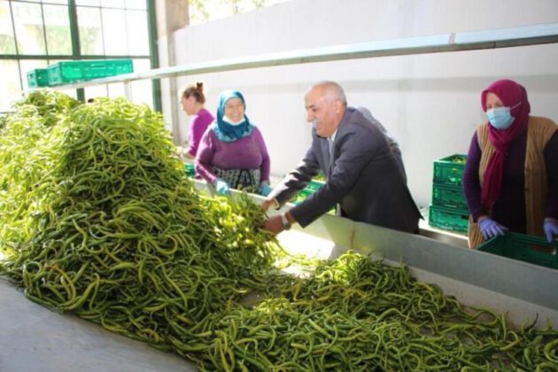 Üretken belediyecilik bilimin gündeminde
