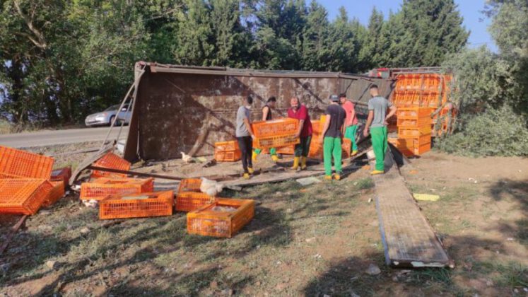 Bursa’da canlı tavuk yüklü tır devrildi