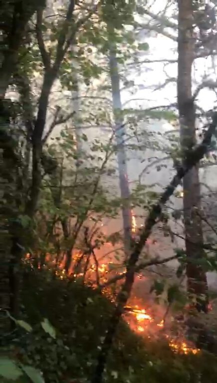 Uludağ’ın eteklerinde korkutan yangın