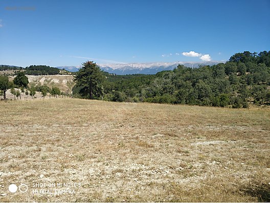 İcradan satılık tarla