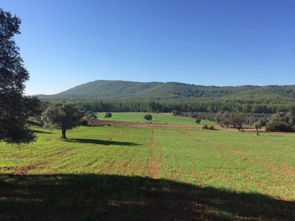 Bursa Buyükorhan’da 7.168,00 m² tarla satılıktır