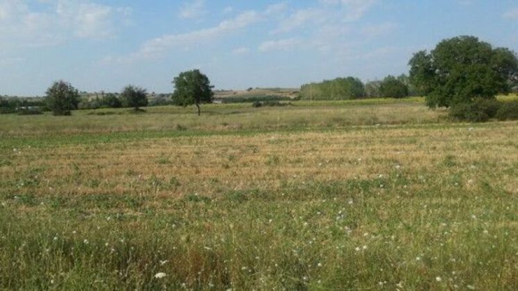 Bursa Gemlik’te 3.109 m² arsa satılıktır (çoklu satış)