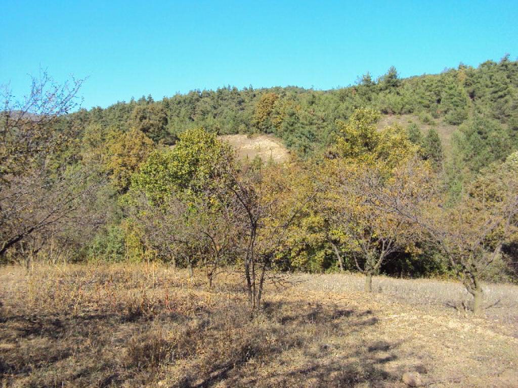 Bursa İnegöl’de 16.288 m² tarlanın 1/3 hissesi satılıktır