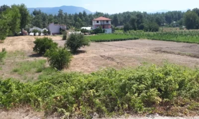 Bursa Karacabey’de 18850 m² tarla satılıktır