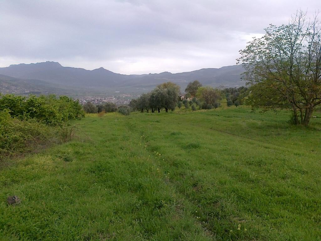 Bursa Kestel’de 3.100 m² tarla satılıktır