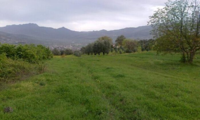 Bilecik Osmaneli’nde 10564 m² tarla satılıktır