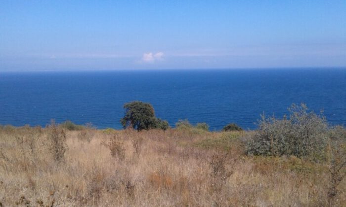 Bursa Mudanya’da 492,39 m² arsa satılıktır