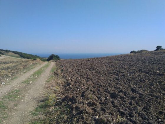 Bursa Mudanya’da 32.250 m² tarlanın 1/12 hissesi satılıktır