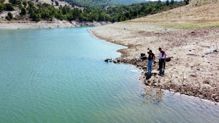 Bursa’da 10 bin yavru sazan balığı suyla buluştu