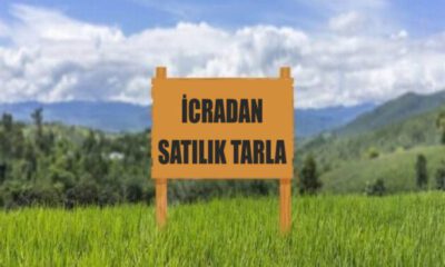 Bilecik Osmaneli’nde 9346 m² tarla satılıktır