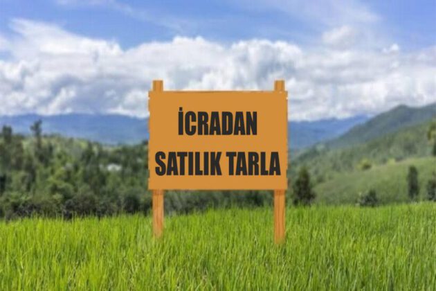 Bursa Yenişehir’de 15.860 m² tarla satılıktır (çoklu satış)