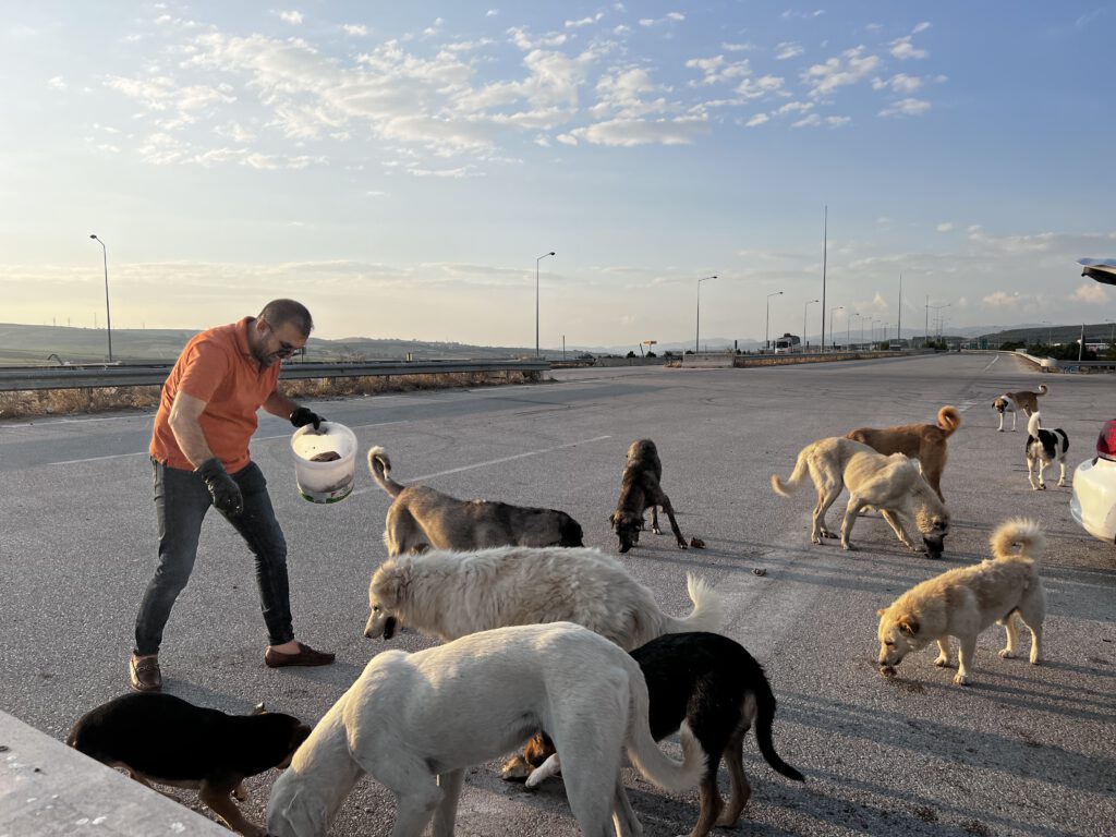 Milyonluk arabaya binip ciğer yiyorlar