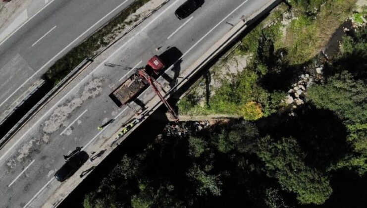 Bursa’da çukura düşen köpek, itfaiye tarafından kurtarıldı