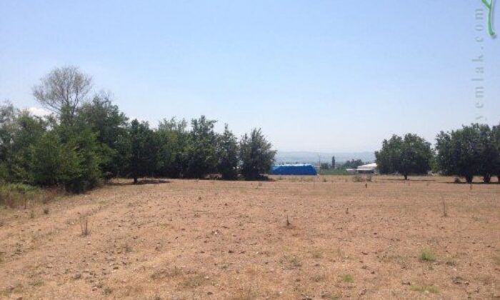 Bursa Yenişehir’de 15.263 m² tarla icradan satılıktır