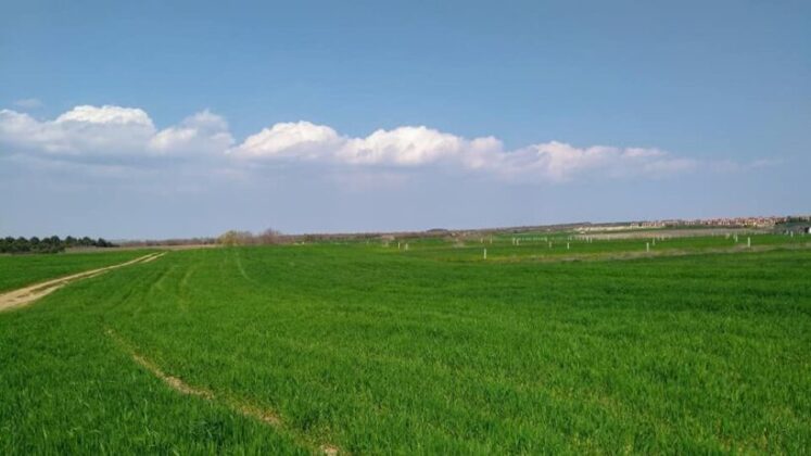 Bursa Yenişehir’de 38.500 m² tarlanın 1/2 hissesi icradan satılıktır