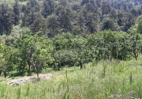 Bursa Nilüfer’de 2.173,26 m² arsa icradan satılıktır