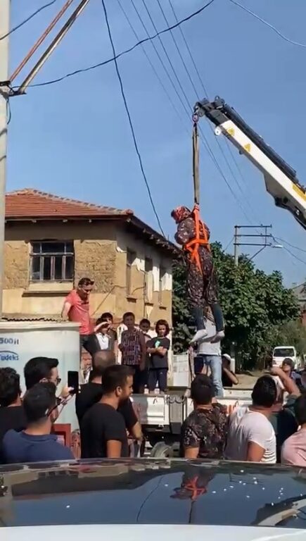 Damat evlendiğine evleneceğine pişman oldu