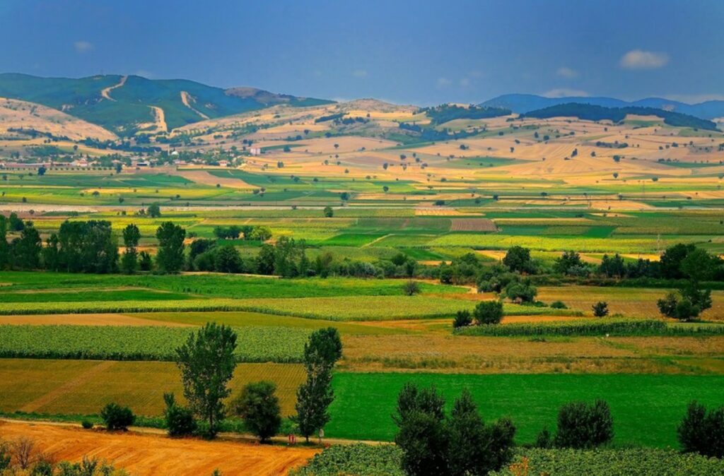 Bursa Yenişehir’de 3.742 m² tarla mahkemeden satılıktır