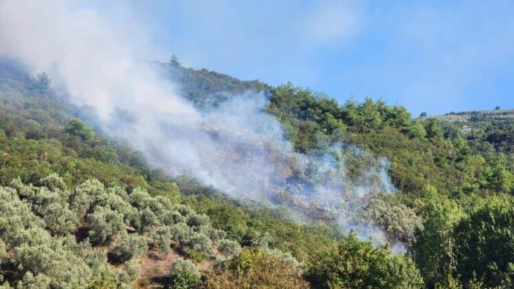 İznik’teki orman yangını kontrol altına alındı