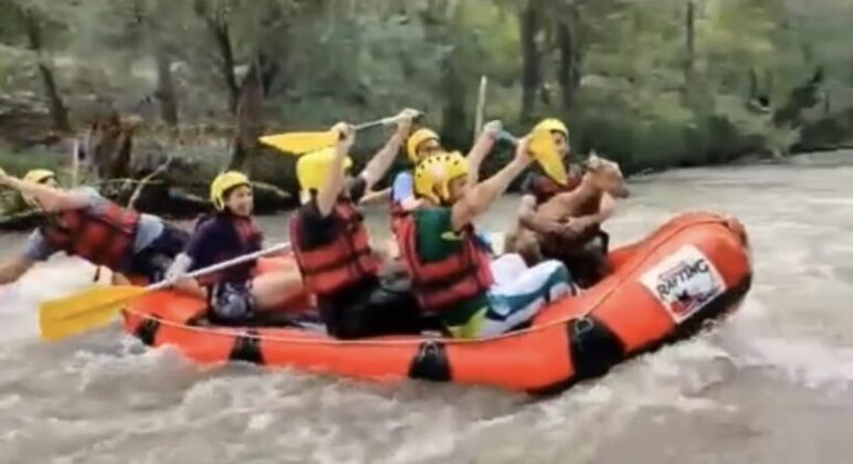 Bursa’da mahsur kalan keçiyi kurtararak birlikte rafting yaptılar