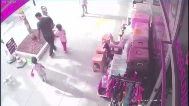 Pendik’te pes dedirten hırsızlık: Yavru köpeği önce sevdiler sonra çaldılar