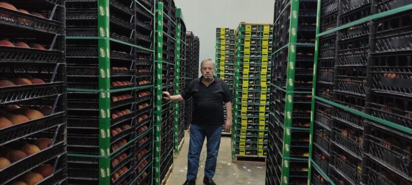 Meyvelerini bu şartlarda saklayıp 2 kat daha fazla kazanıyorlar