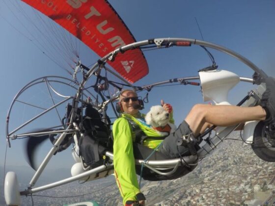 Uçma meraklısı köpek uçmadığı zaman strese giriyor