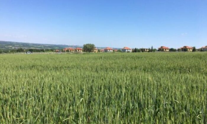 Bursa Osmangazi’de 5.241 m² tarla icradan satılıktır