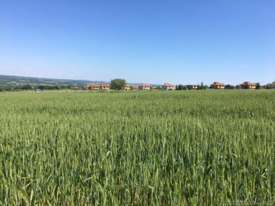 Bursa Osmangazi’de 5.241 m² tarla icradan satılıktır