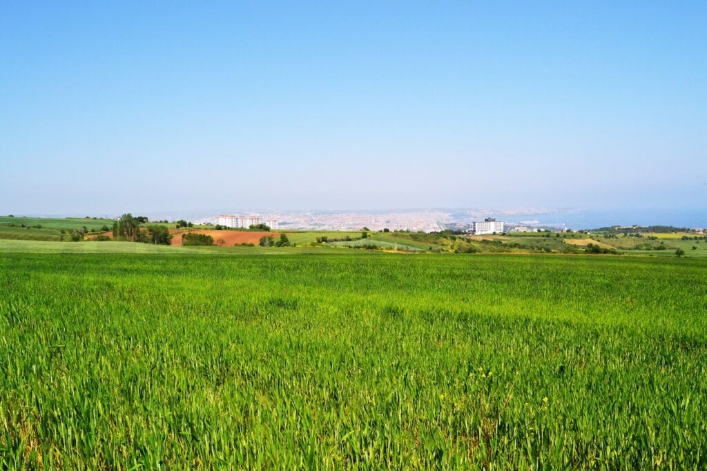 Bursa Osmangazi’de 6.000 m² tarla mahkemeden satılıktır