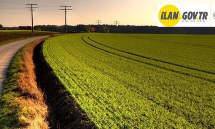 Osmangazi’de 6.000 m² tarla mahkemeden satılıktır