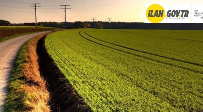 Osmangazi’de 6.000 m² tarla mahkemeden satılıktır