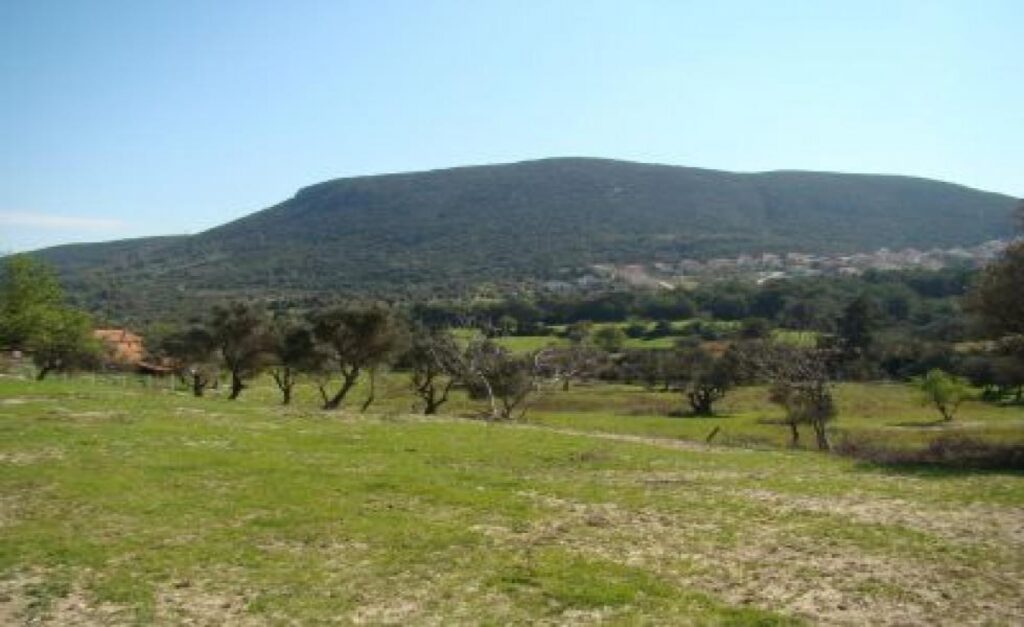 Bursa Karacabey’de 9.678 m² tarla mahkemeden satılıktır (çoklu satış)