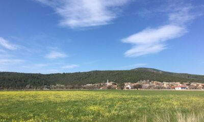 Bursa Karacabey’de 16.900 m² tarla icradan satılıktır (çoklu satış)