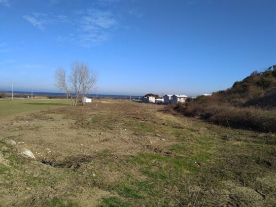 Bursa Mudanya’da 7.312 m² tarlanın 3/8 hissesi mahkemeden satılıktır