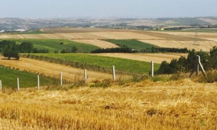 Bursa Yenişehir’de 9.865,90 m² tarla icradan satılıktır