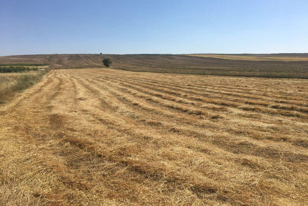 Bursa Karacabey’de 187.114 m² tarla mahkemeden satılıktır