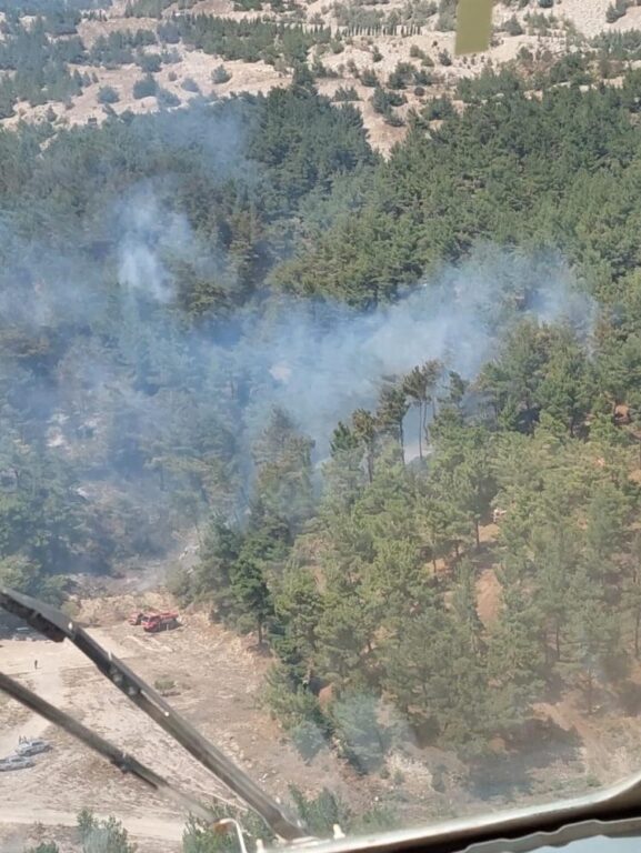 Soma’daki orman yangını kontrol altında