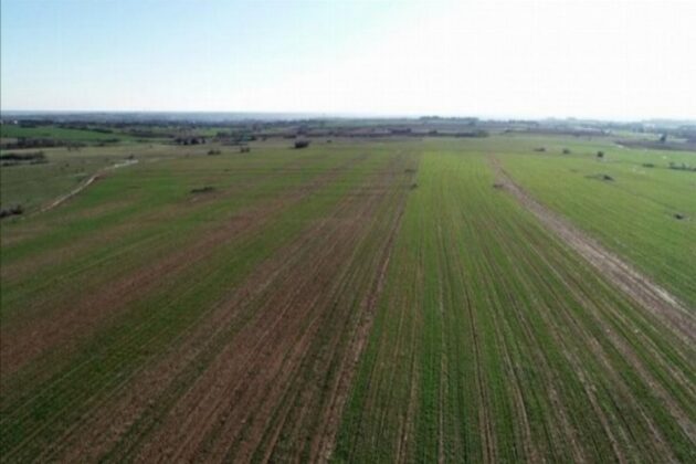 Kestel’de icradan satılık tarla