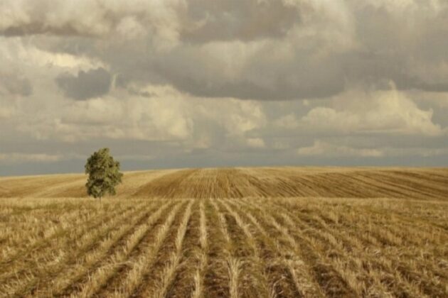 Yenişehir’de 10.523 m² tarla icradan satılıktır