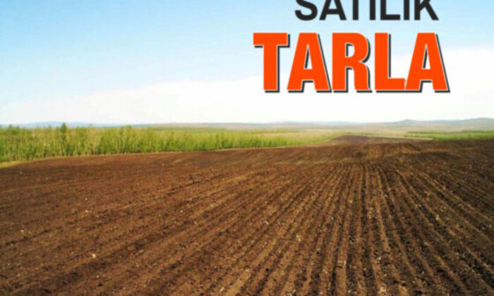 Bursa Mudanya’da 3.140 m² tarla mahkemeden satılıktır