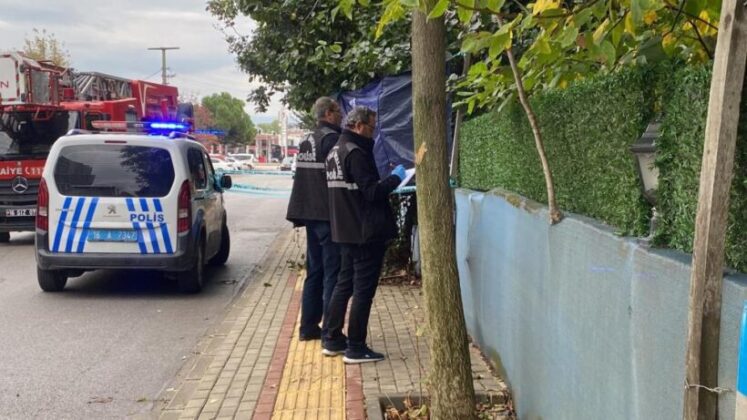 Bursa’da ayva toplamak isterken hayatını kaybetti