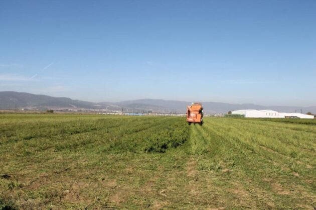 Türkiye’de ilk kez Bursa’da denendi, işçi maliyetleri yüzde 90 düştü