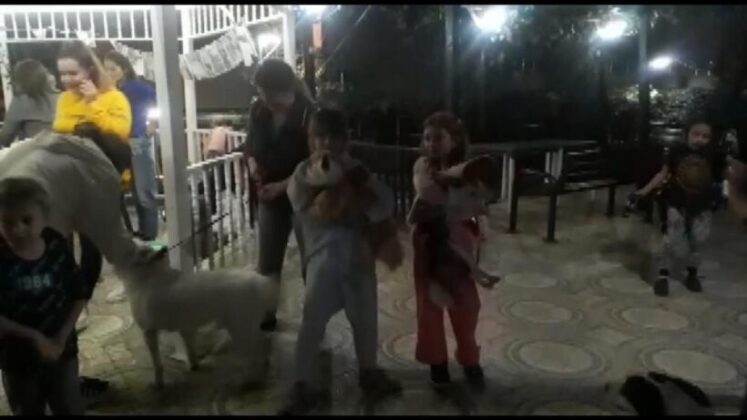 Köpeği için doğum günü yaptı, partiye çocuklar hayvanlarıyla katıldı