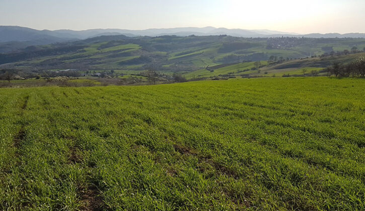 Bursa Orhaneli’de 15.347 m² tarla mahkemeden satılıktır