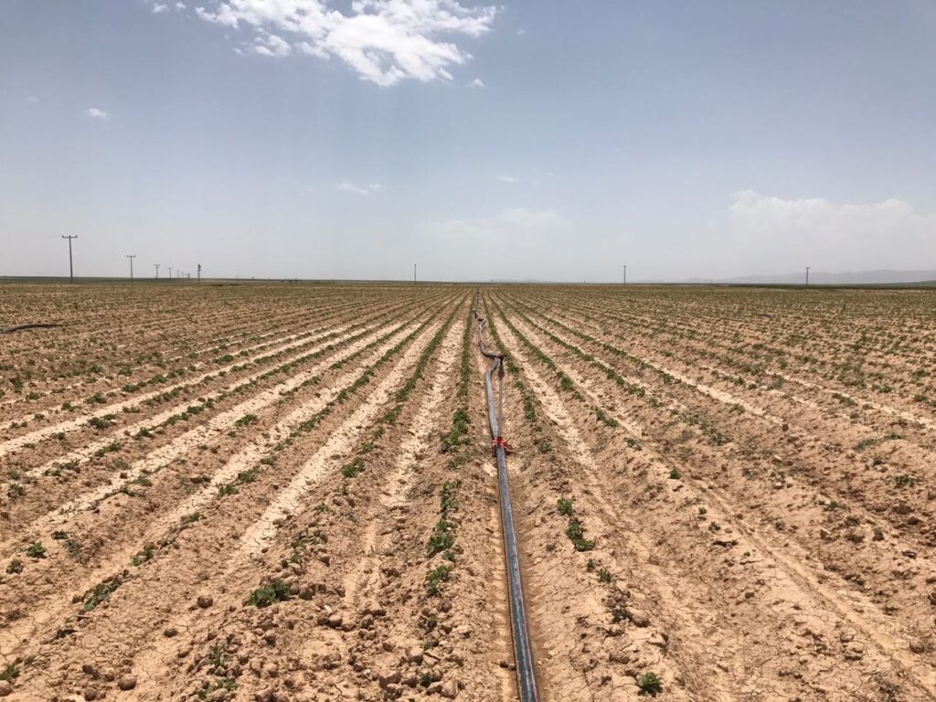 Bursa Mustafakemalpaşa’da 12.350 m² tarla mahkemeden satılıktır (çoklu satış)