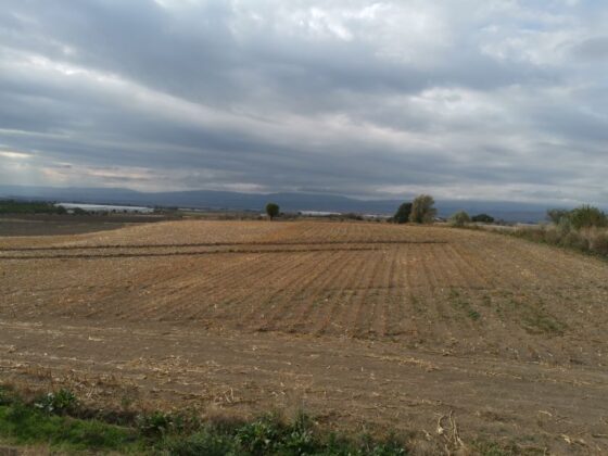 Bursa Kestel’de 2.028 m² tarla icradan satılıktır