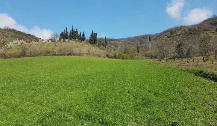 Bursa Gemlik’te 300 m² arsanın 1/3 hissesi icradan satılıktır